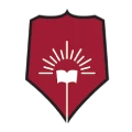 dy-patil-university-icon